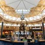people enjoying food at airport
